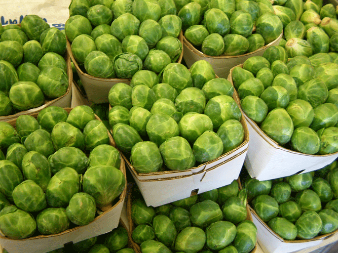 Brussel Sprouts at Herridge's
