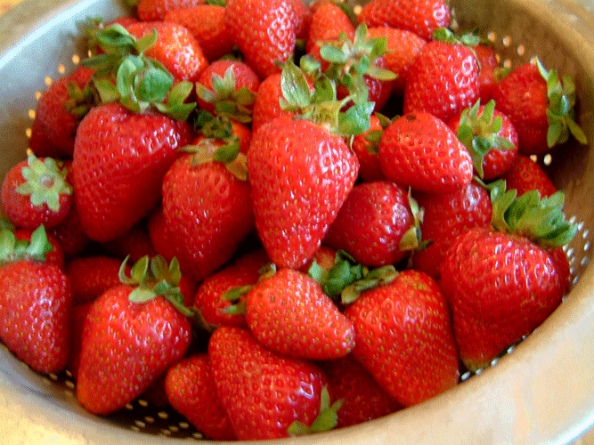 Local Field Strawberries
