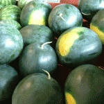 Allison's Farm Market Melons