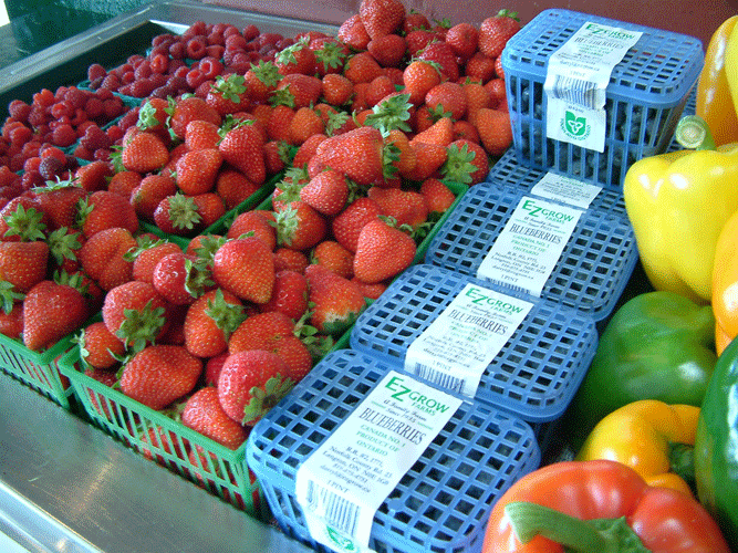 Allison's Farm Market Berries