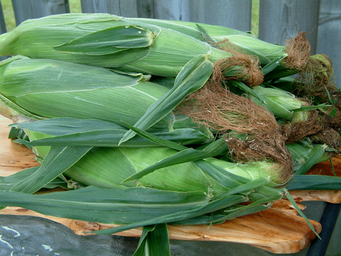 Allison's Farm Market Corn