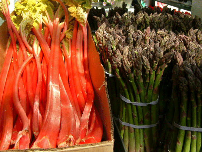 Rhubarb and Asparagus at Herridge's
