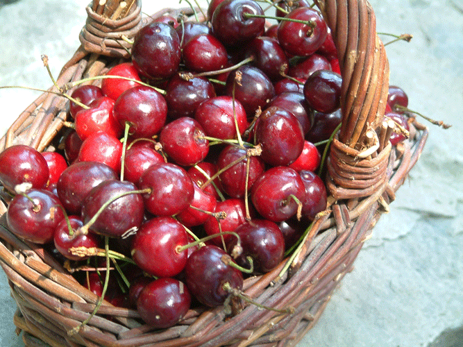 Sweet Dark Cherries