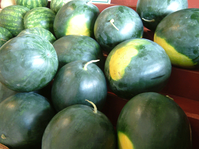 Allison's Farm Market Melons