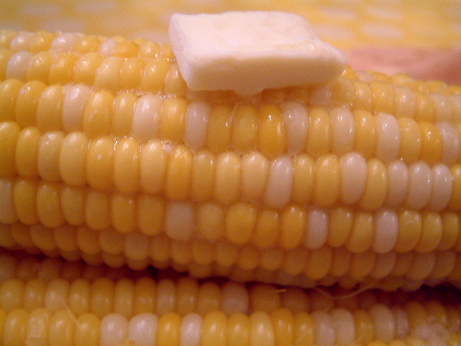 Allison's Farm Market Corn